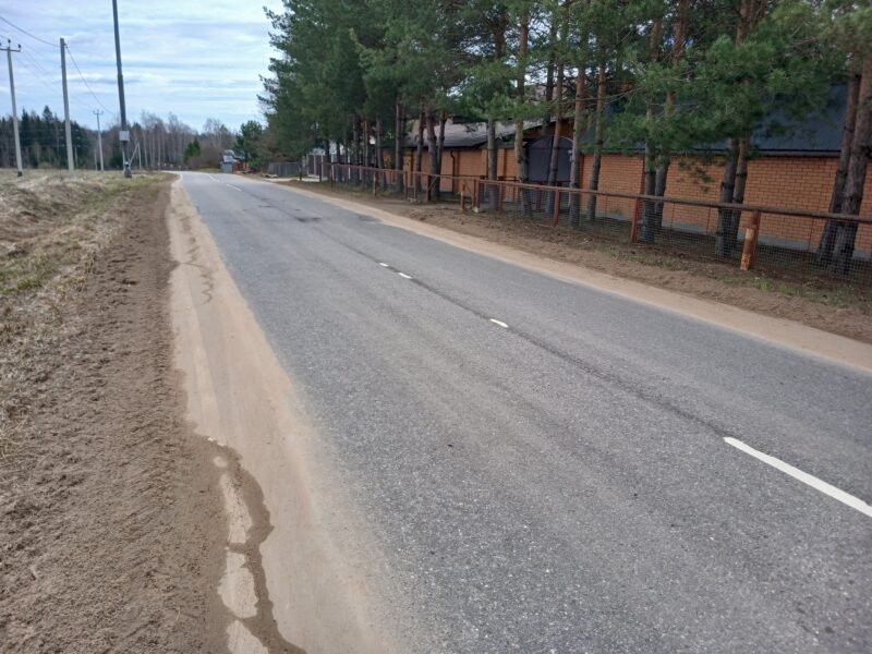 Автодорога (лыжероллеры) Н Горбово — Лызлово, состояние на 9 мая 2026 по отзыву, фото 1. 